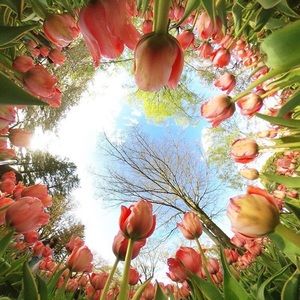 Meet your Posher, Stacey